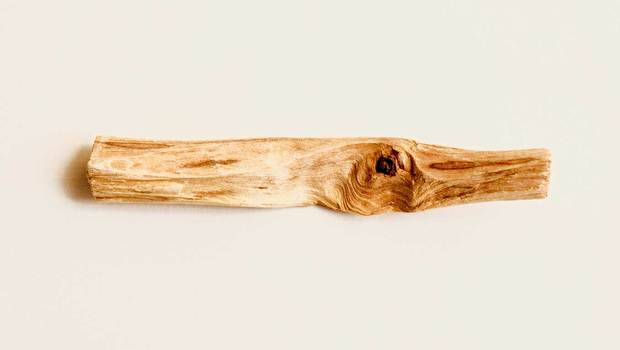 Palo Santo: what you need to know about healing incense