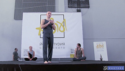 Йогатерапия (Йога и работа с суставами) — Алена Баландина, Виктор Петренко, Павел Макарин